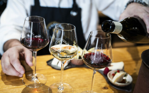 Image Not Found On Media Library